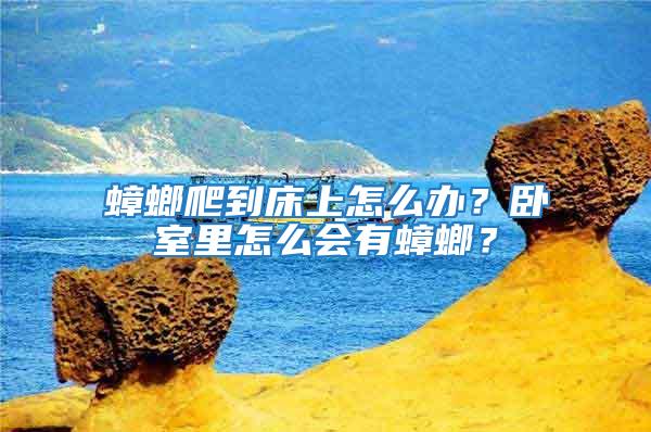 蟑螂爬到床上怎么辦？臥室里怎么會(huì)有蟑螂？