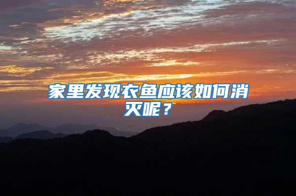 家里發現衣魚應該如何消滅呢？