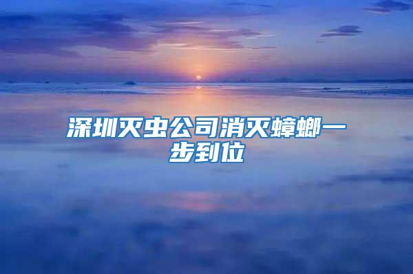 深圳滅蟲(chóng)公司消滅蟑螂一步到位