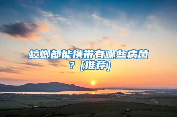 蟑螂都能攜帶有哪些病菌？[推薦]