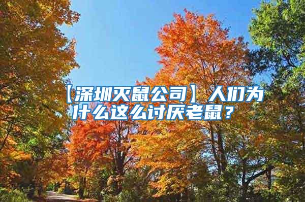 【深圳滅鼠公司】人們為什么這么討厭老鼠？