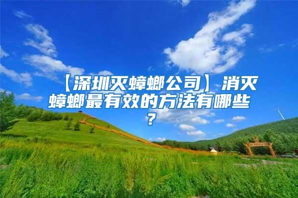 【深圳滅蟑螂公司】消滅蟑螂最有效的方法有哪些？