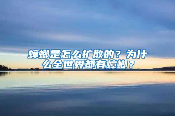 蟑螂是怎么擴(kuò)散的？為什么全世界都有蟑螂？