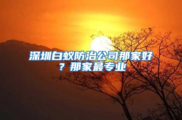 深圳白蟻防治公司那家好？那家最專業