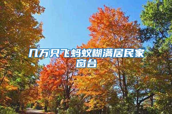 幾萬(wàn)只飛螞蟻糊滿居民家窗臺(tái)
