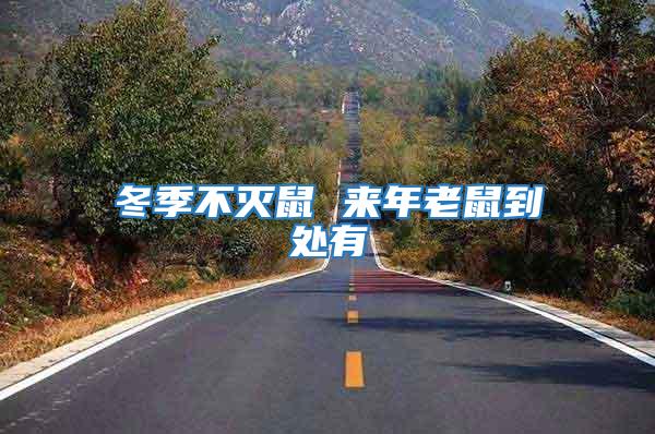 冬季不滅鼠 來(lái)年老鼠到處有