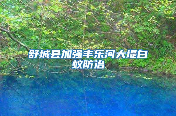 舒城縣加強(qiáng)豐樂河大堤白蟻防治