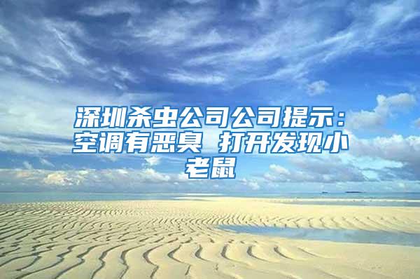 深圳殺蟲(chóng)公司公司提示：空調(diào)有惡臭 打開(kāi)發(fā)現(xiàn)小老鼠