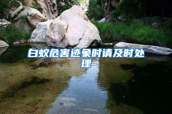 白蟻危害跡象時(shí)請(qǐng)及時(shí)處理