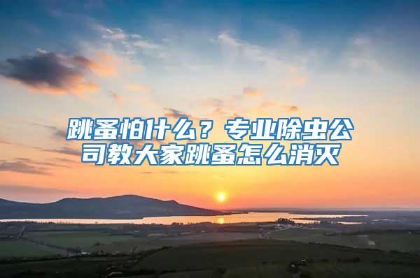 跳蚤怕什么？專業(yè)除蟲(chóng)公司教大家跳蚤怎么消滅