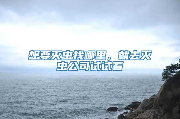 想要滅蟲找哪里，就去滅蟲公司試試看