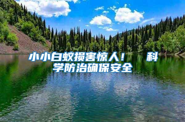 小小白蟻損害驚人！  科學(xué)防治確保安全