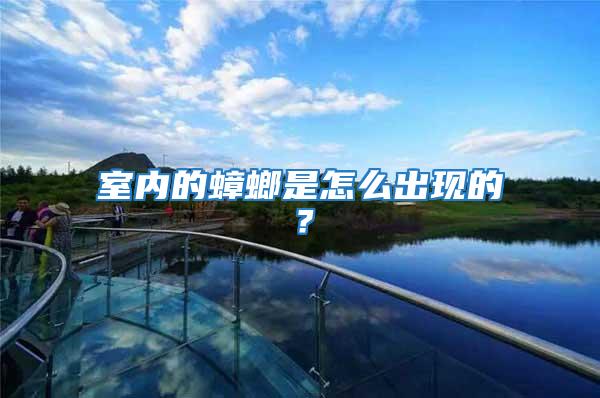 室內的蟑螂是怎么出現的？