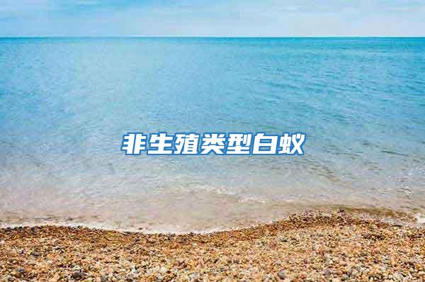 非生殖類(lèi)型白蟻