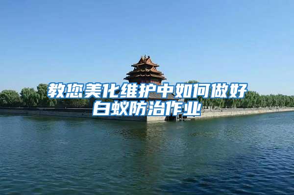 教您美化維護中如何做好白蟻防治作業