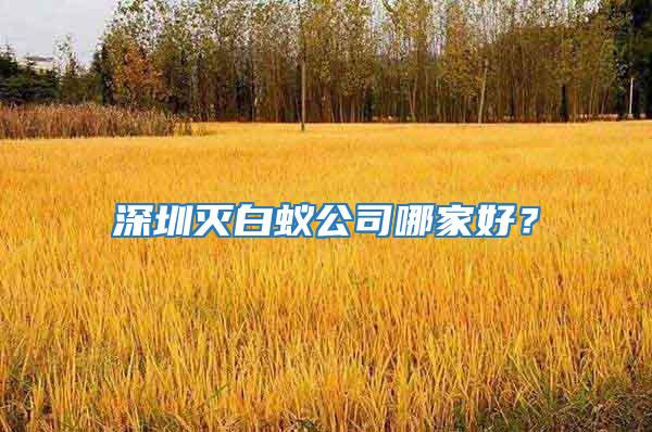 深圳滅白蟻公司哪家好？