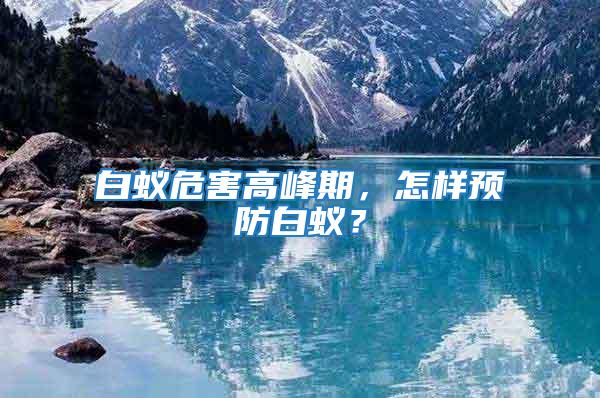 白蟻危害高峰期，怎樣預防白蟻？