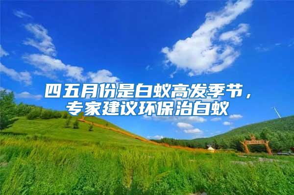 四五月份是白蟻高發(fā)季節(jié)，專家建議環(huán)保治白蟻