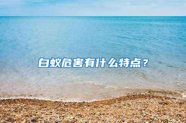 白蟻危害有什么特點？
