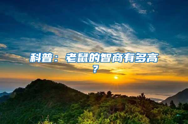 科普：老鼠的智商有多高？
