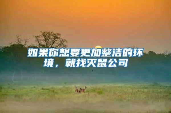 如果你想要更加整潔的環境，就找滅鼠公司