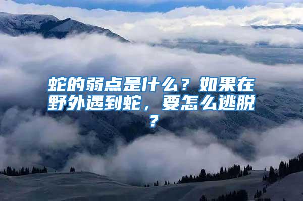 蛇的弱點是什么？如果在野外遇到蛇，要怎么逃脫？