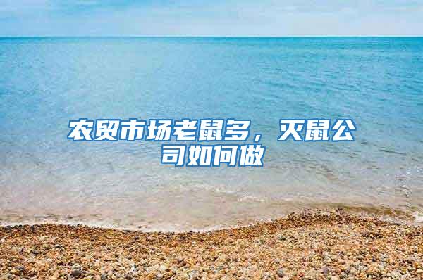 農貿市場老鼠多，滅鼠公司如何做