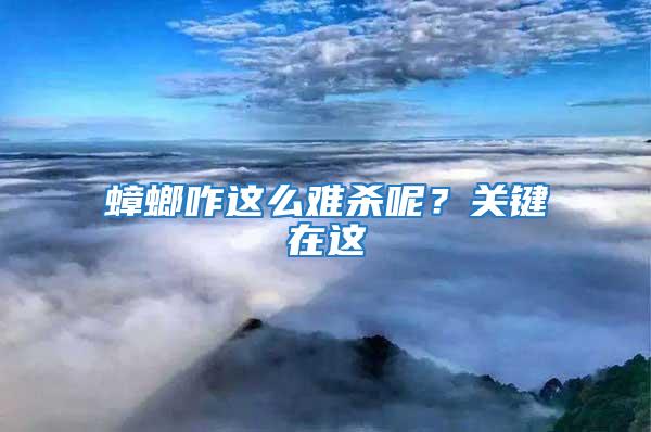 蟑螂咋這么難殺呢？關鍵在這