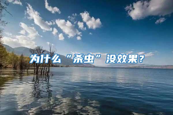 為什么“殺蟲”沒效果？