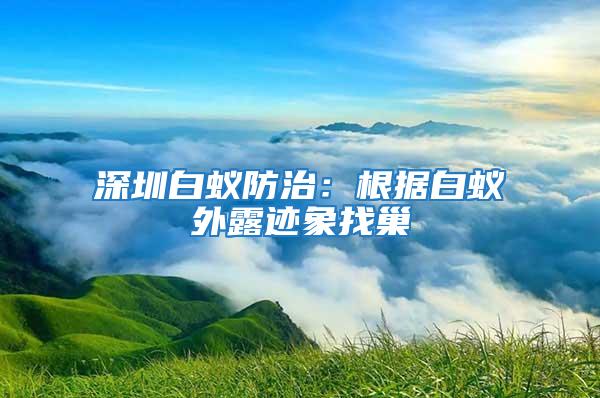 深圳白蟻防治：根據白蟻外露跡象找巢