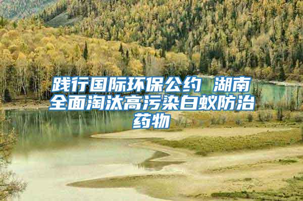 踐行國際環保公約 湖南全面淘汰高污染白蟻防治藥物