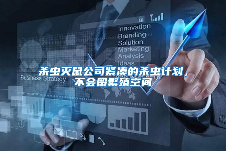 殺蟲滅鼠公司緊湊的殺蟲計(jì)劃，不會(huì)留繁殖空間