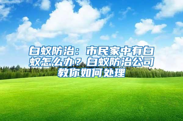 白蟻防治：市民家中有白蟻怎么辦？白蟻防治公司教你如何處理