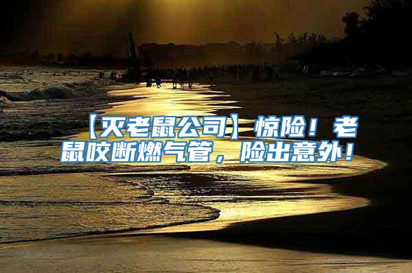 【滅老鼠公司】驚險！老鼠咬斷燃氣管，險出意外！