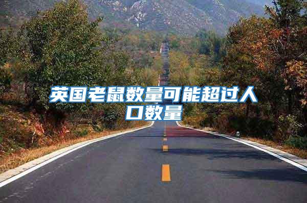 英國老鼠數量可能超過人口數量