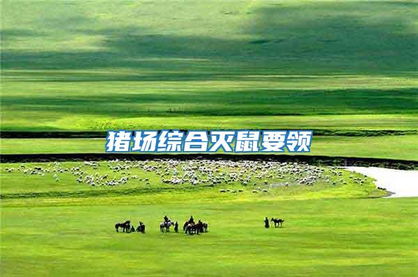豬場綜合滅鼠要領