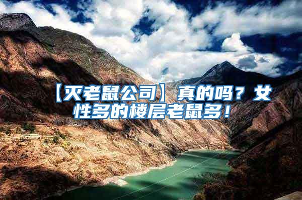 【滅老鼠公司】真的嗎？女性多的樓層老鼠多！