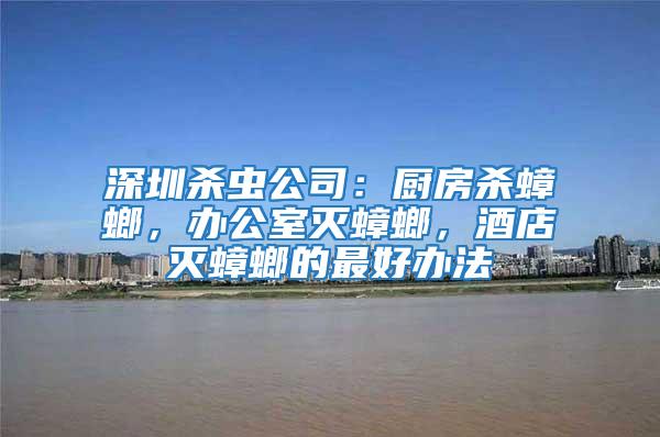深圳殺蟲公司：廚房殺蟑螂，辦公室滅蟑螂，酒店滅蟑螂的最好辦法