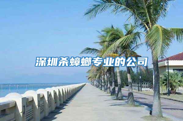 深圳殺蟑螂專業的公司