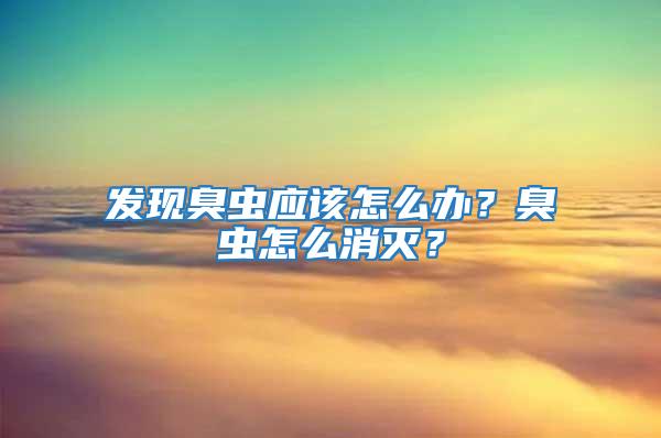 發現臭蟲應該怎么辦？臭蟲怎么消滅？