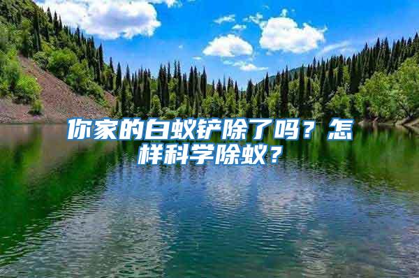 你家的白蟻鏟除了嗎？怎樣科學除蟻？