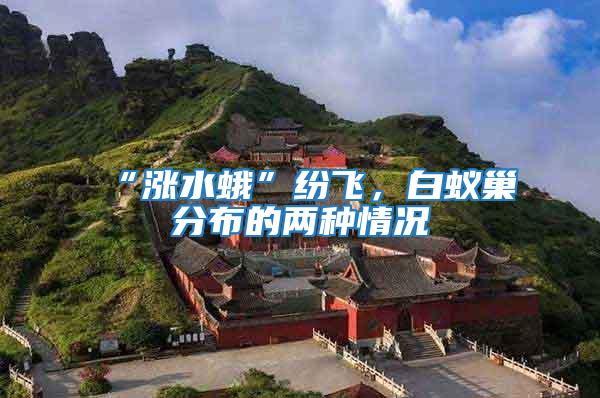 “漲水蛾”紛飛，白蟻巢分布的兩種情況