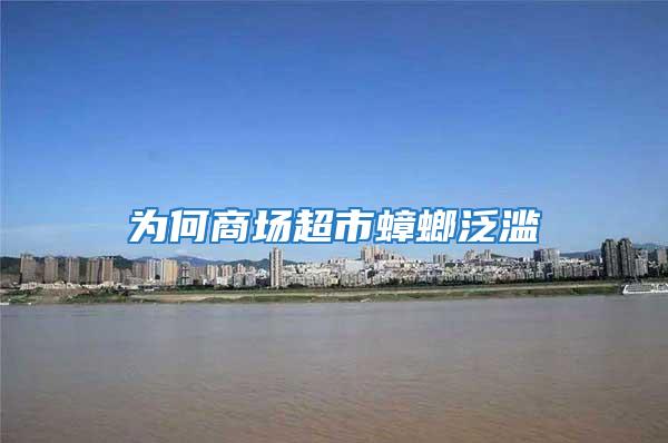 為何商場超市蟑螂泛濫