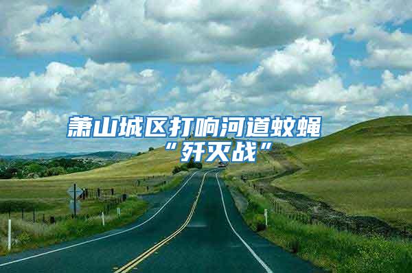蕭山城區打響河道蚊蠅“殲滅戰”