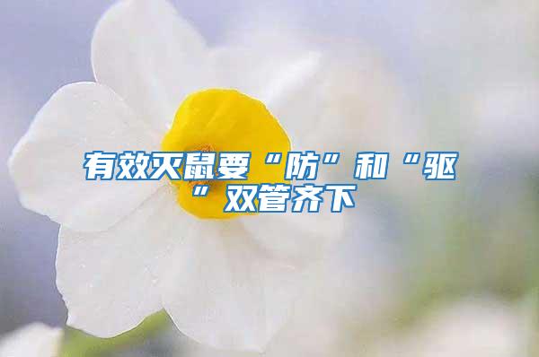 有效滅鼠要“防”和“驅(qū)”雙管齊下