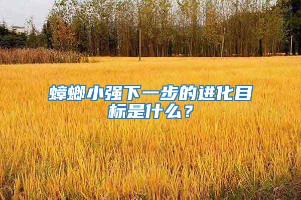 蟑螂小強下一步的進化目標(biāo)是什么？