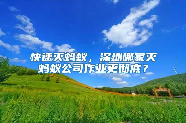 快速滅螞蟻，深圳哪家滅螞蟻公司作業(yè)更徹底？