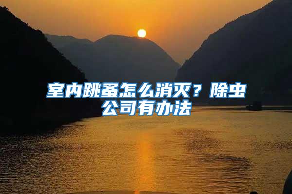 室內(nèi)跳蚤怎么消滅？除蟲公司有辦法