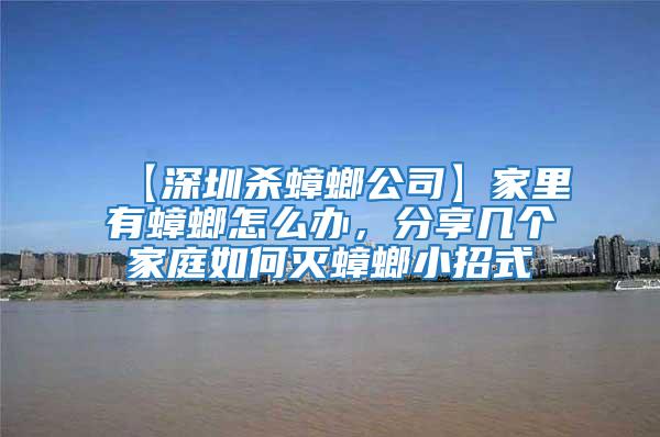 【深圳殺蟑螂公司】家里有蟑螂怎么辦，分享幾個家庭如何滅蟑螂小招式