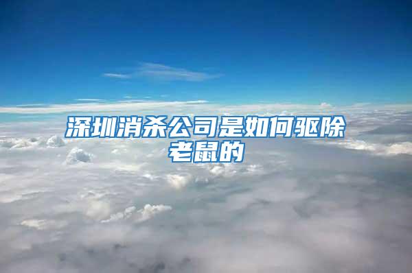 深圳消殺公司是如何驅(qū)除老鼠的